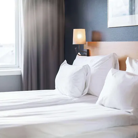 Hotel Scandic 3*